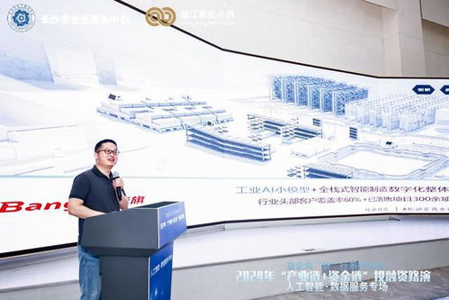 長(zhǎng)沙市2024年產(chǎn)融對(duì)接會(huì)啟幕 人工智能與數(shù)據(jù)服務(wù)產(chǎn)業(yè)鏈迎來新機(jī)遇